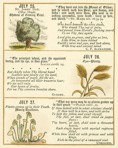 Page from The Bible Emblem Anniversary Book by William Foster