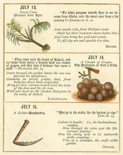 Page from The Bible Emblem Anniversary Book by William Foster