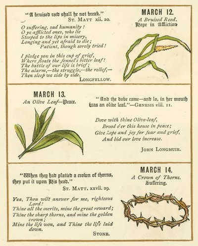 Page from The Bible Emblem Anniversary Book by William Foster