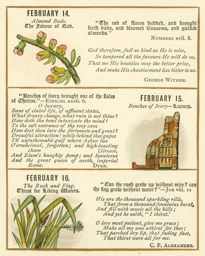 Page from The Bible Emblem Anniversary Book by William Foster