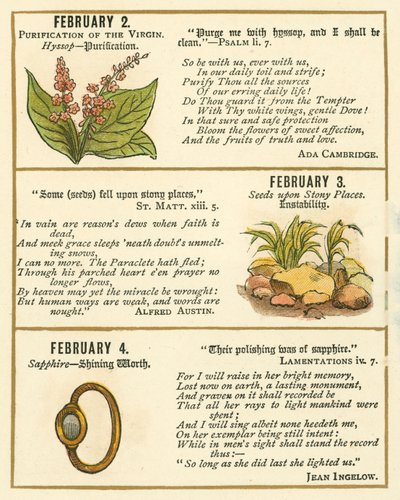 Page from The Bible Emblem Anniversary Book by William Foster