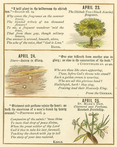 Page from The Bible Emblem Anniversary Book by William Foster