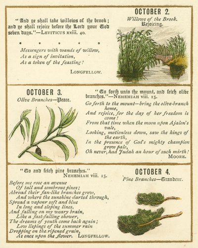 Page from The Bible Emblem Anniversary Book by William Foster