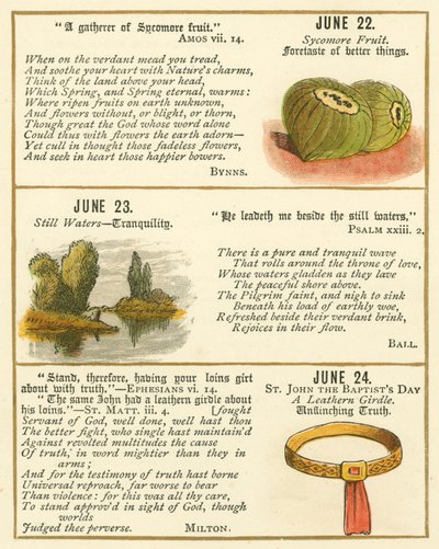 Page from The Bible Emblem Anniversary Book by William Foster