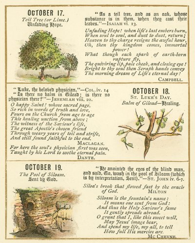 Page from The Bible Emblem Anniversary Book by William Foster