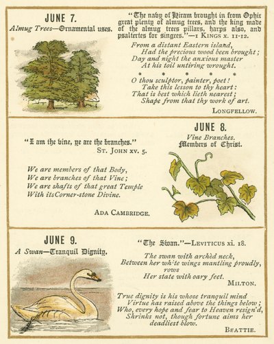 Page from The Bible Emblem Anniversary Book by William Foster