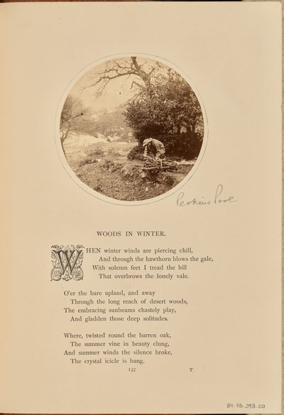 A Man Gathering Firewood, England by William Grundy