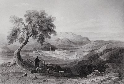 Nazareth, looking towards the Plain of Esdraelon by William H. Bartlett
