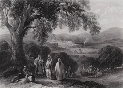 Vale of Nazareth by William H. Bartlett