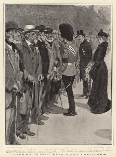 The Royal Tour, the Duke of Cornwall inspecting Veterans at Dunedin by William Hatherell