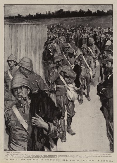Victims of the Disaster at Nicholson