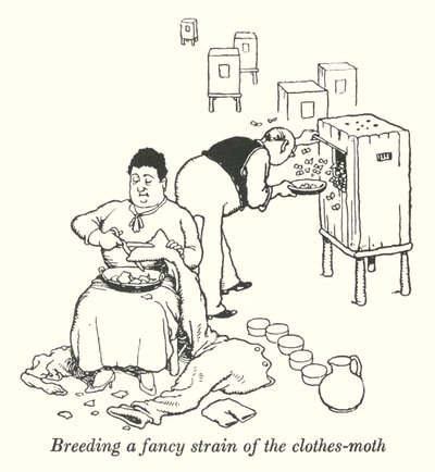 Breeding a Fancy Strain of the Clothes-Moth by William Heath Robinson