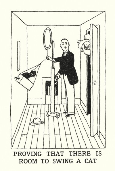 Proving That There is Room to Swing a Cat by William Heath Robinson