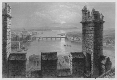 The Shannon, from the Tower of Limerick Cathedral by William Henry (after) Bartlett