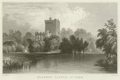 Blarney Castle in County Cork by William Henry Bartlett
