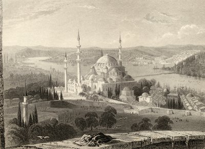 Mosque and Tomb of Sulieman, from the Seraskier