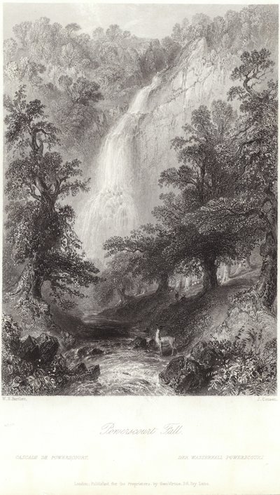 Powerscourt Fall on the River Dargle by William Henry Bartlett