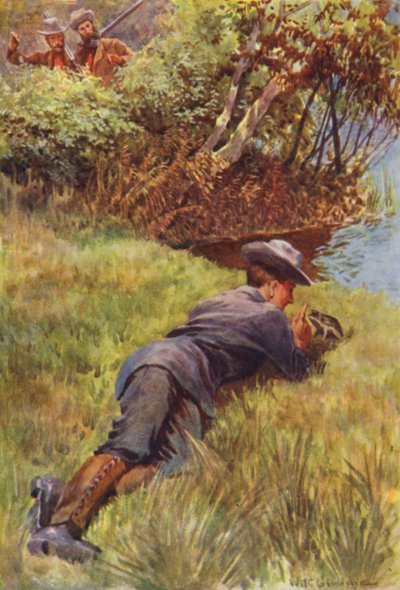 Illustration for The Gorilla Hunters by R M Ballantyne by William Henry Charles Groome