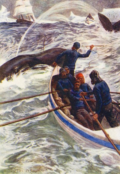 Illustration for The World of Ice or the Whaling Cruise of The Dolphin by William Henry Charles Groome