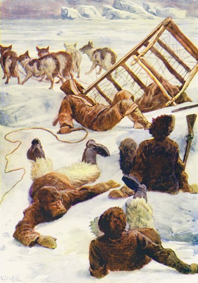 Illustration for The World of Ice or the Whaling Cruise of The Dolphin by William Henry Charles Groome