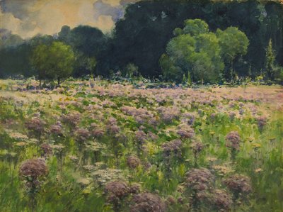 Field of Joe Pie Weeds (Pride of the Meadow) by William Henry Holmes