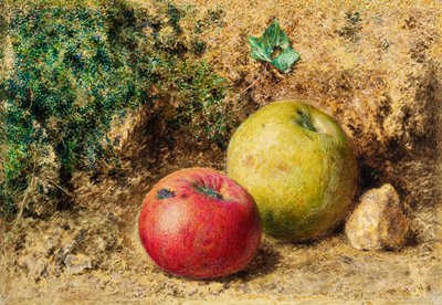 The Contrast - Red and Green Apples by William Henry Hunt