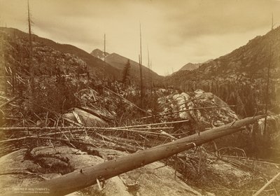 “Roches Moutonnées” Near the Mountain of the Holy Cross by William Henry Jackson