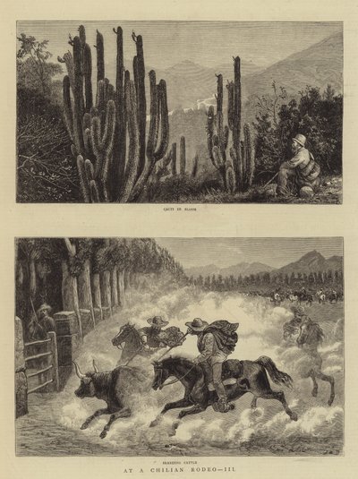At a Chilian Rodeo, III by William Henry James Boot