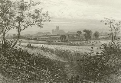 Canterbury Cathedral, from Harbledown by William Henry James Boot
