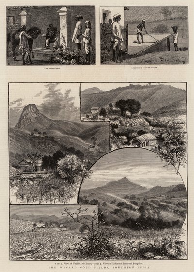 The Wynaad Gold Fields, Southern India by William Henry James Boot