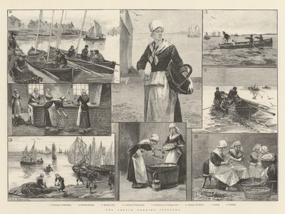 The French Sardine Industry by William Heysham Overend