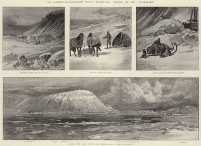 The Jackson-Harmsworth Polar Expedition, Return of the Windward by William Heysham Overend
