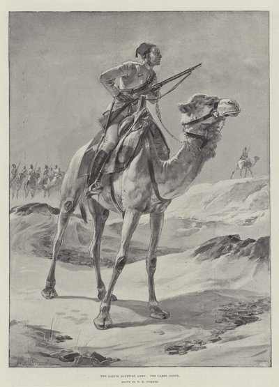 The Native Egyptian Army, the Camel Corps by William Heysham Overend