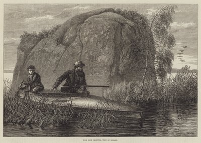 Wild Duck Shooting, West of Ireland (engraving) by William Heysham Overend