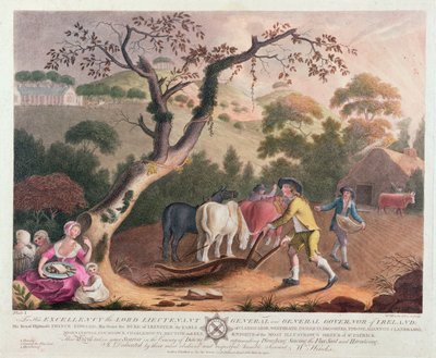 View of Ploughing, Sowing Flax Seed and Harrowing, 1791 by William Hincks