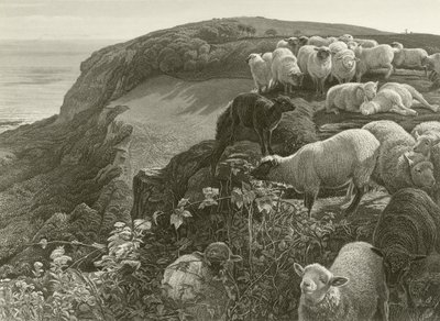 On the Hillside by William Holman Hunt