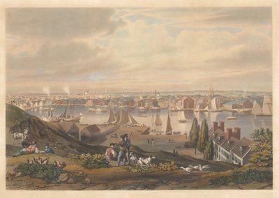 Baltimore from Federal Hill by William James Bennett