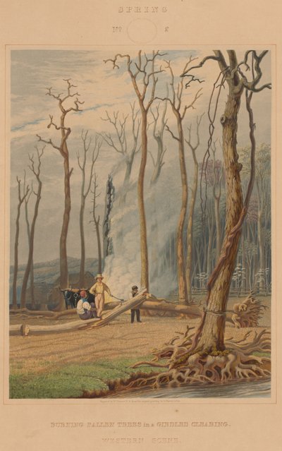 Spring--Burning Fallen Trees in a Girdled Clearing. Western Scene by William James Bennett after George Harvey