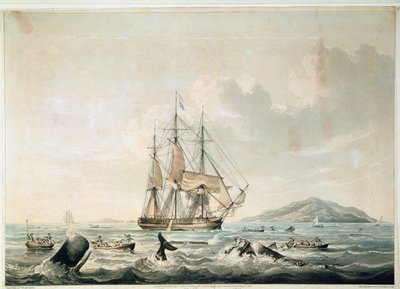South Sea Whale Fishery, Engraved by T. Sutherland by William John (after) Huggins