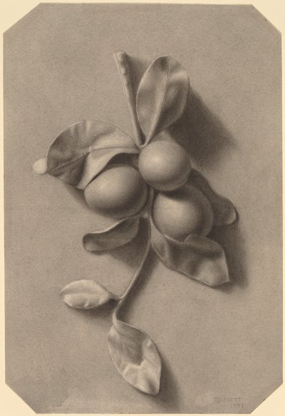 A Sprig of Plums by William Michael Harnett
