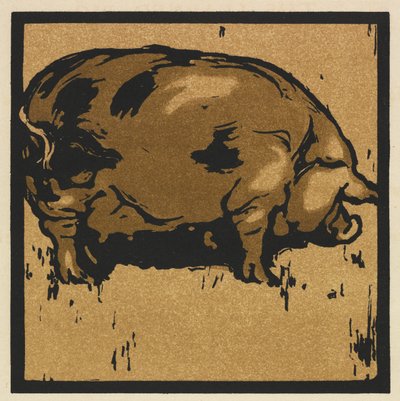 The Learned Pig by William Nicholson