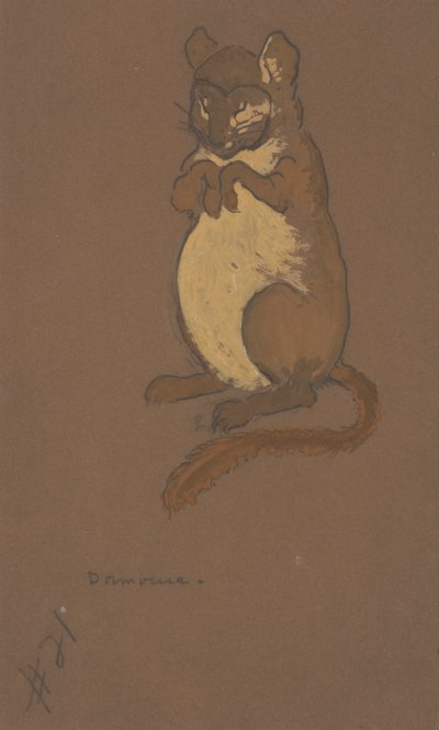 Dormouse costume design for Alice-in-Wonderland by William Penhallow Henderson