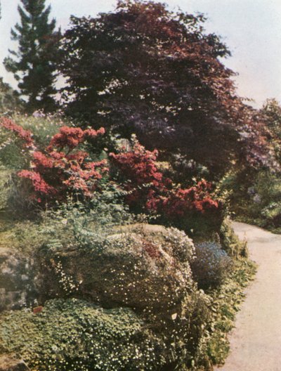  by William Ransford