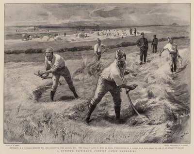 A Coveted Privilege, Convict Gangs Haymaking by William Small