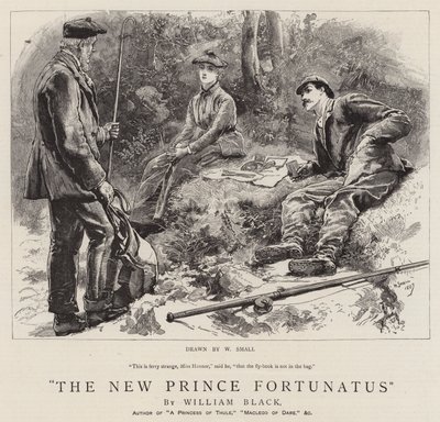 The New Prince Fortunatus by William Small