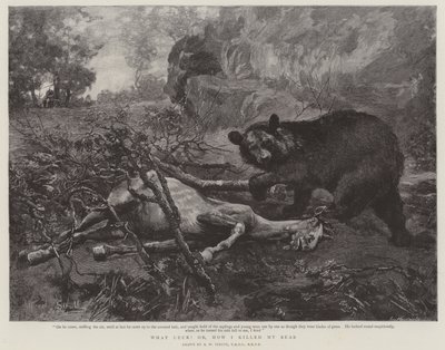What Luck! or, How I killed My Bear by William Strutt