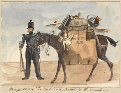 My packhorse, 