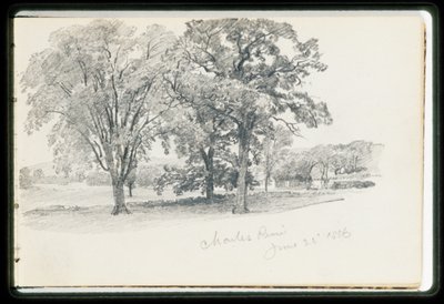 Charles River, June 22 