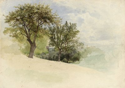 Landscape with Trees on a Hillside, 1880-85 by William Trost Richards