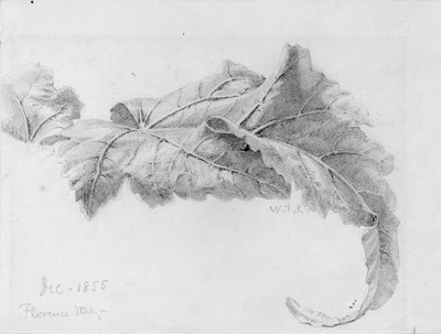 Leaves by William Trost Richards